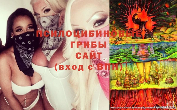 дмт Володарск