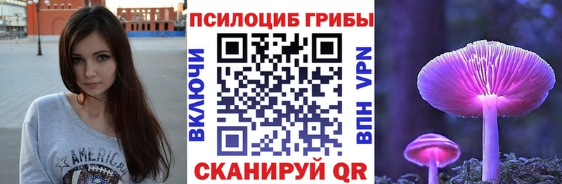 Псилоцибиновые грибы GOLDEN TEACHER  где найти   Красково 